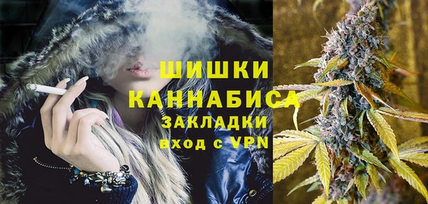 стаф Заводоуковск