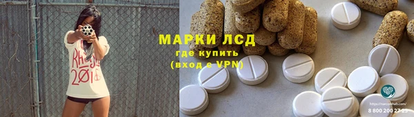 стаф Заводоуковск