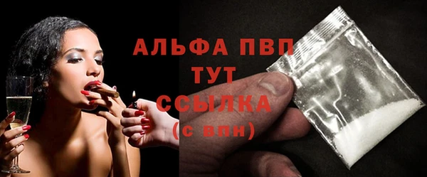 стаф Заводоуковск