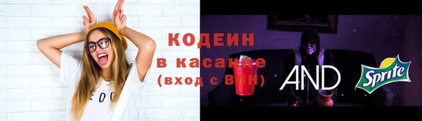 стаф Заводоуковск
