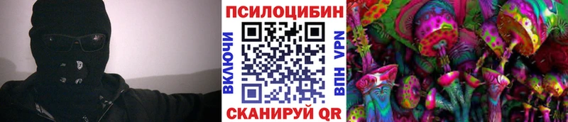 Псилоцибиновые грибы Cubensis  Купить закладки  Звенигород 